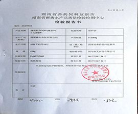 榮譽(yù)證書(shū)五